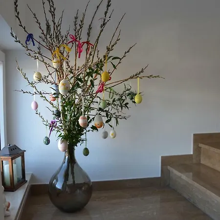 Apartment Appartement 